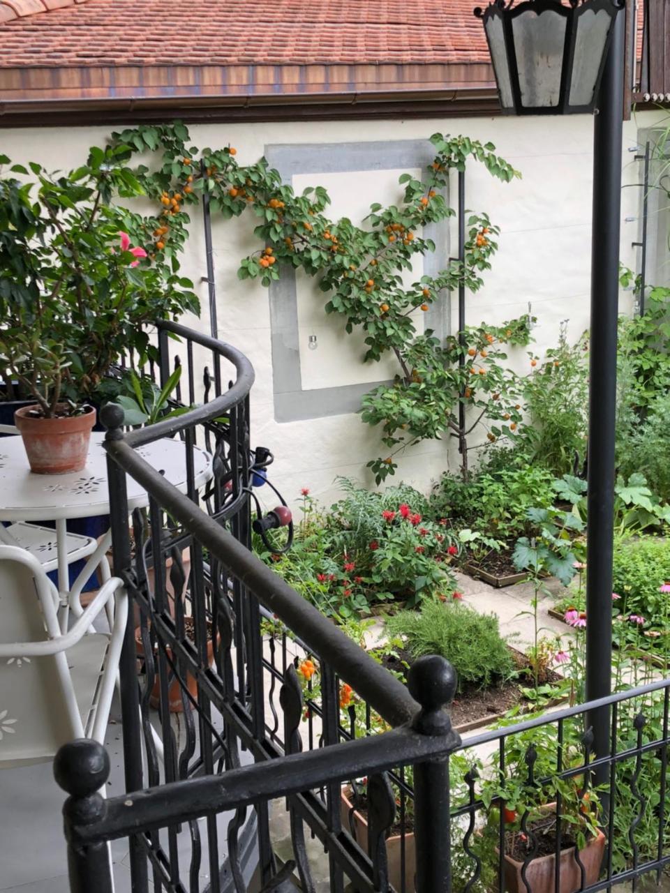 Good4Yew Bnb Curych Exteriér fotografie